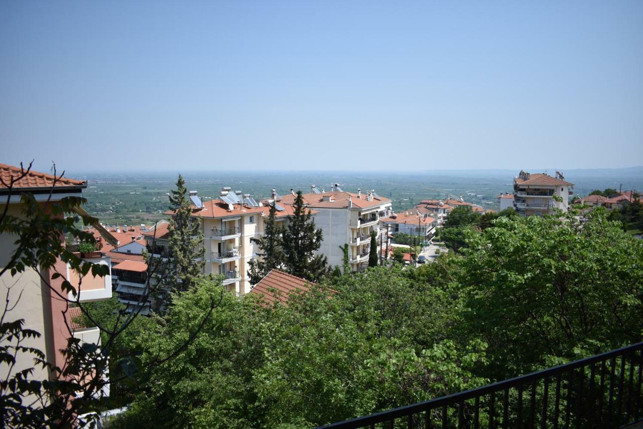 Small Apartment, Great View! ヴェリア エクステリア 写真